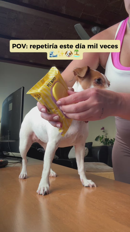 Pet Wipes - Lavender