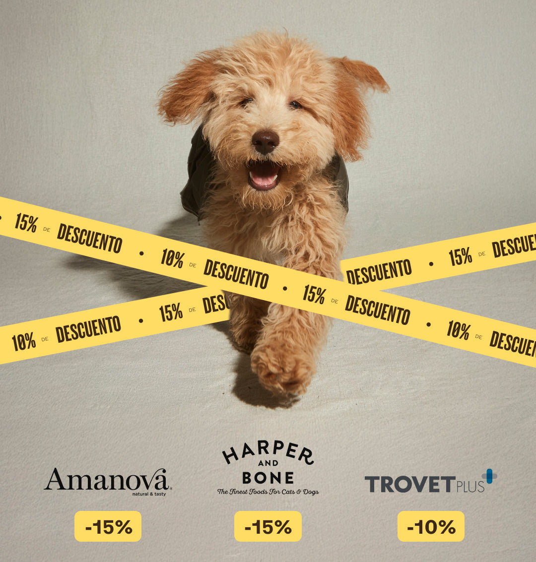 image-banner