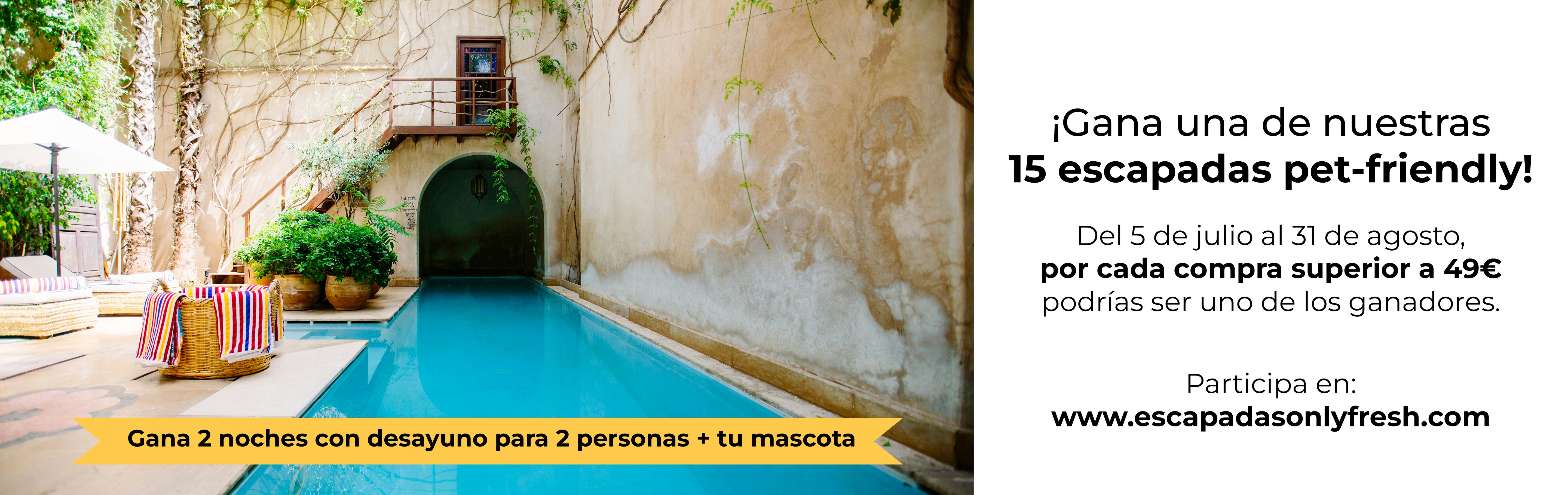 image-banner