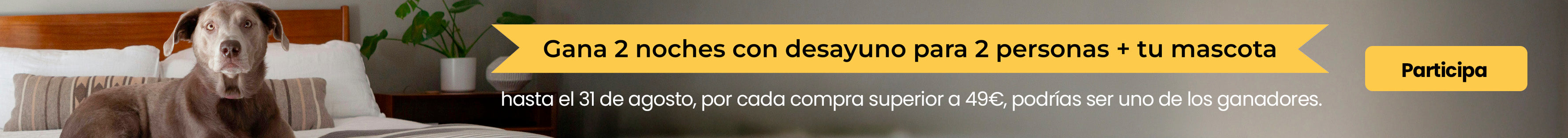 image-banner