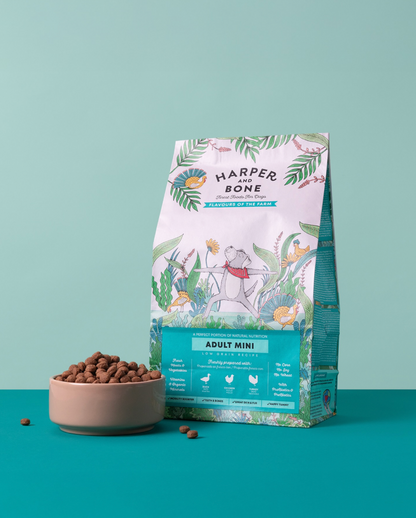 Regalo navideño edición limitada