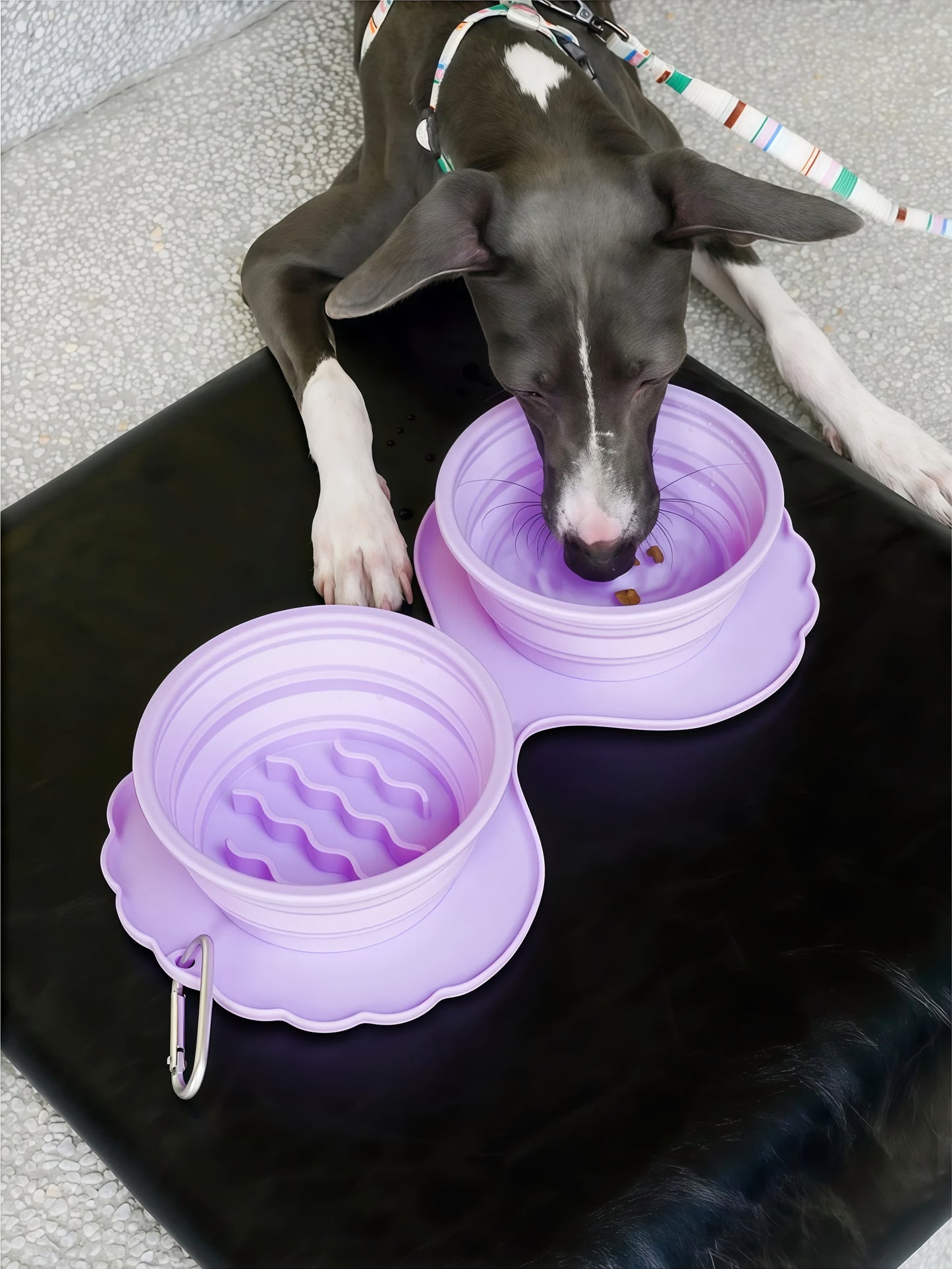Collapsible double portable bowl Violet