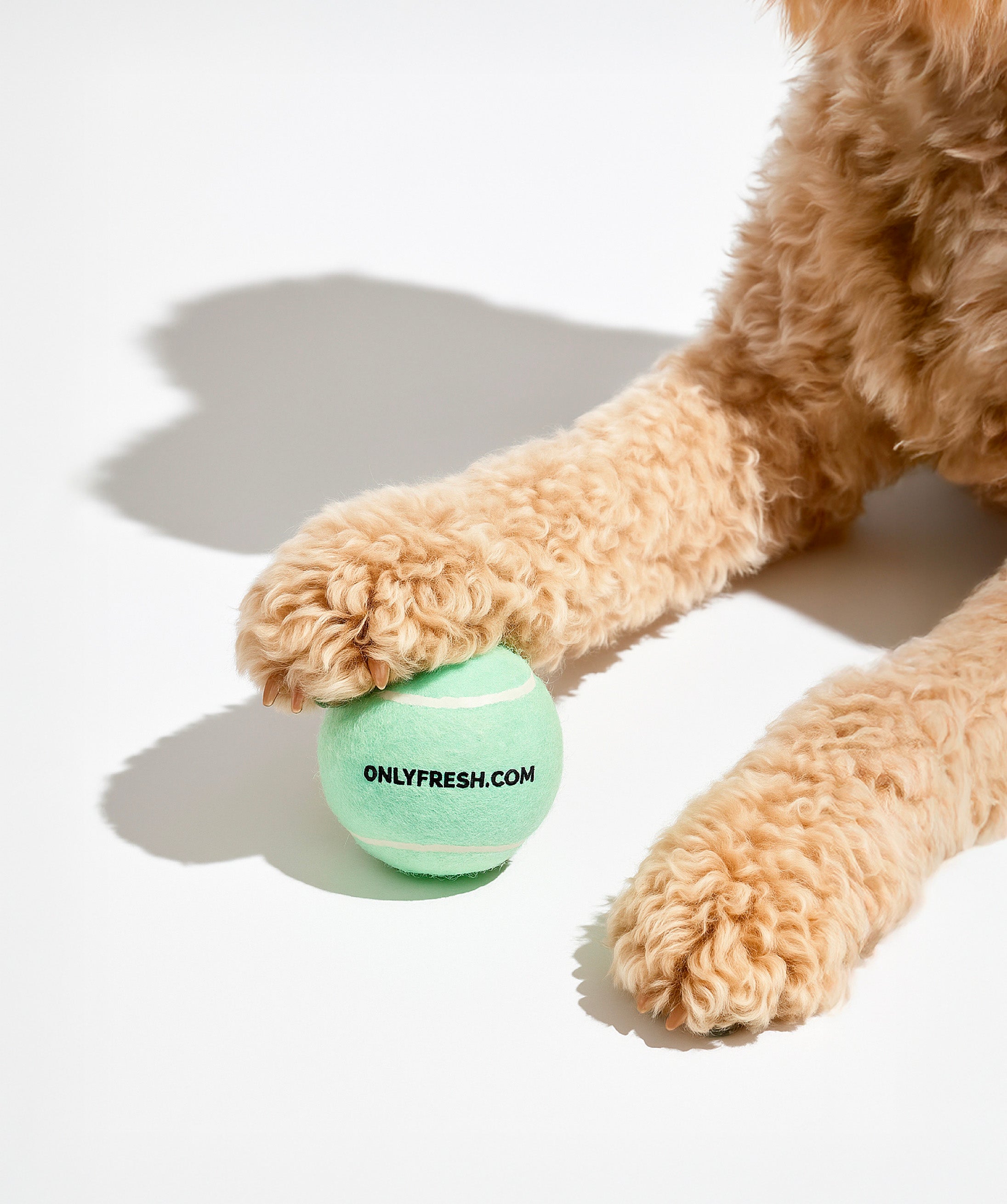 Tennis Balls
