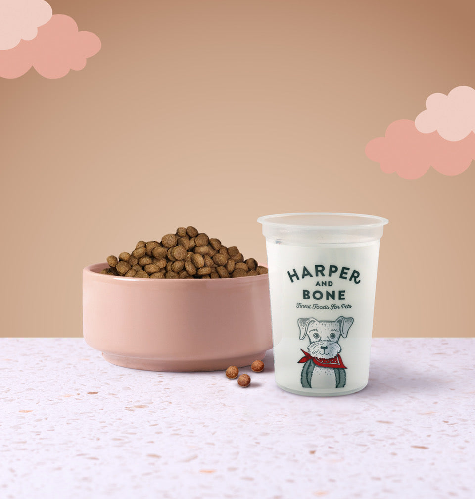 Presente natalino edição limitada