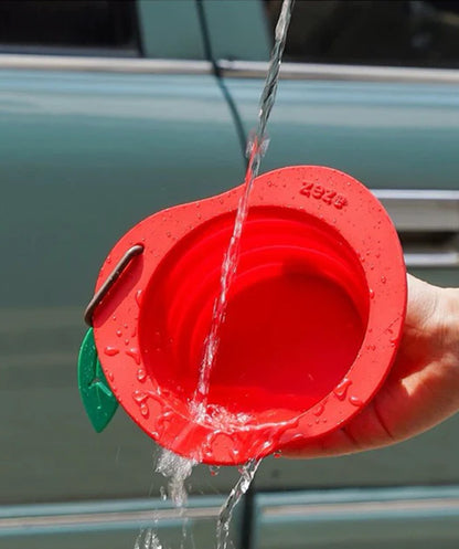 Collapsible Silicone  Bowl