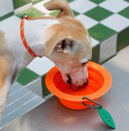 Collapsible Silicone  Bowl