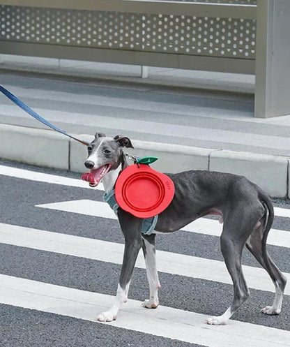 Collapsible Silicone  Bowl