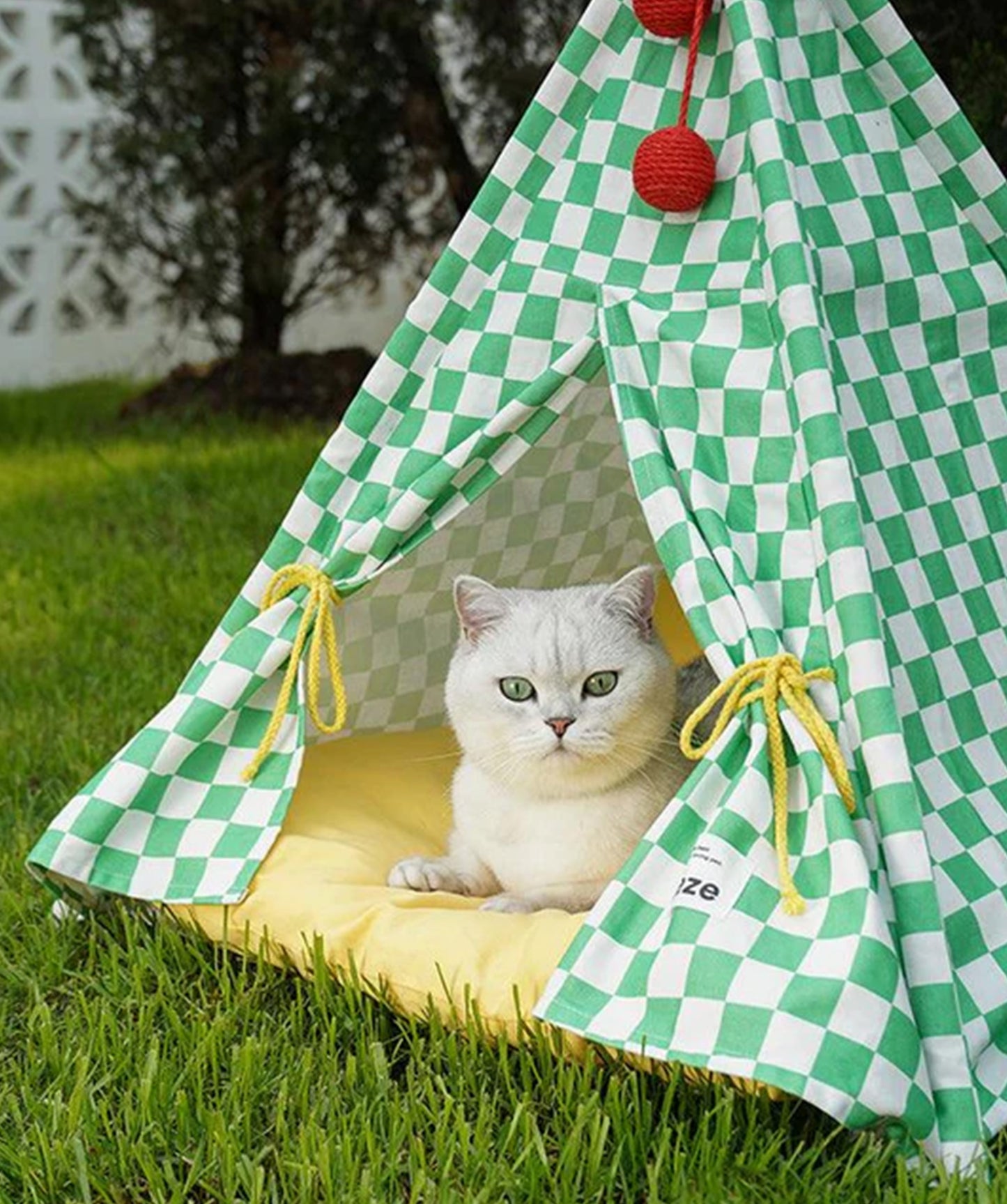 Tippy Tent
