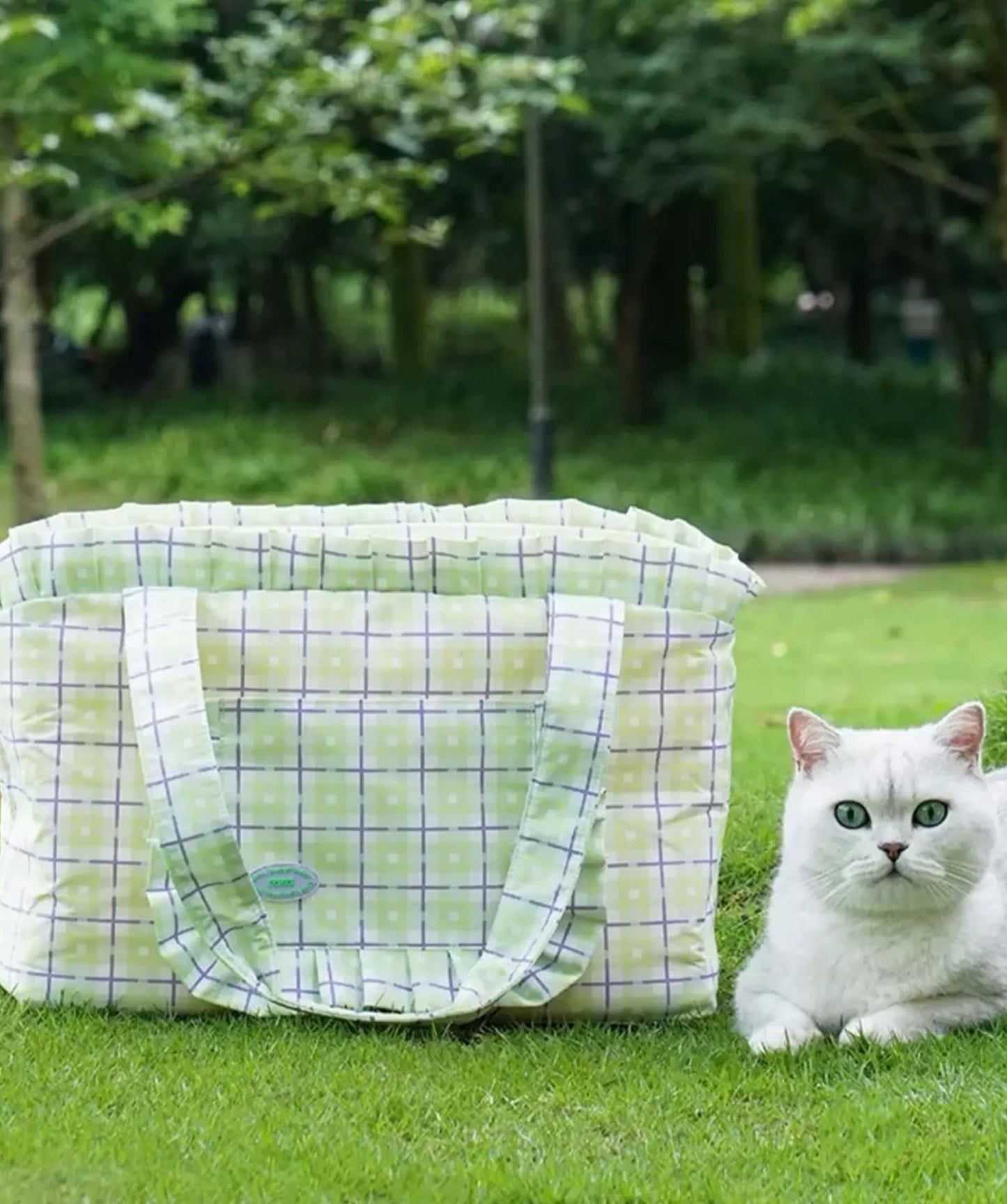 Plaid pet bag