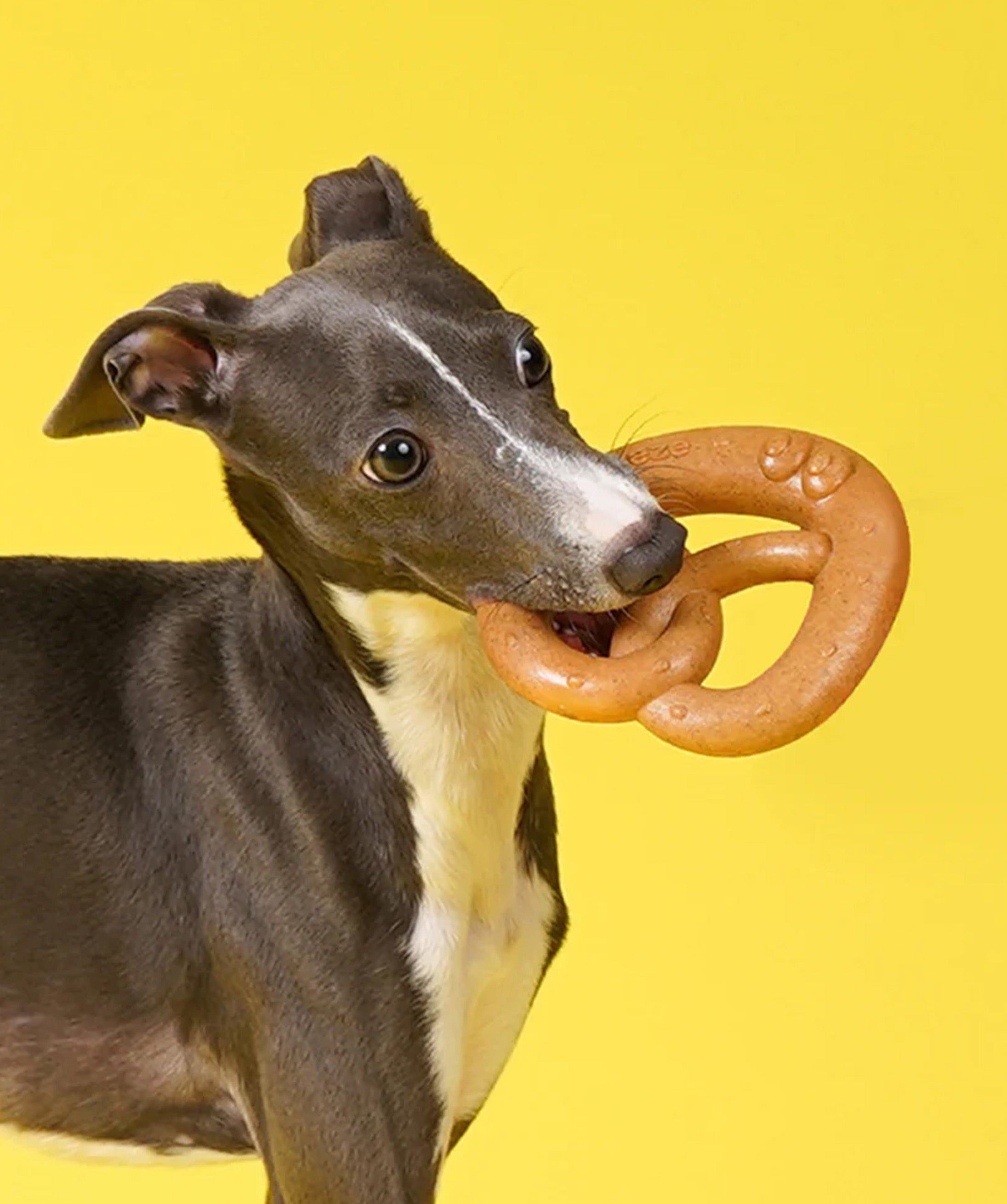 Pretzel Chew