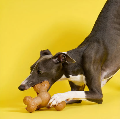 Antler Chew
