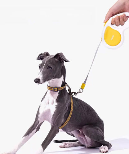 Easywalk Leash