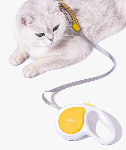Easywalk Leash