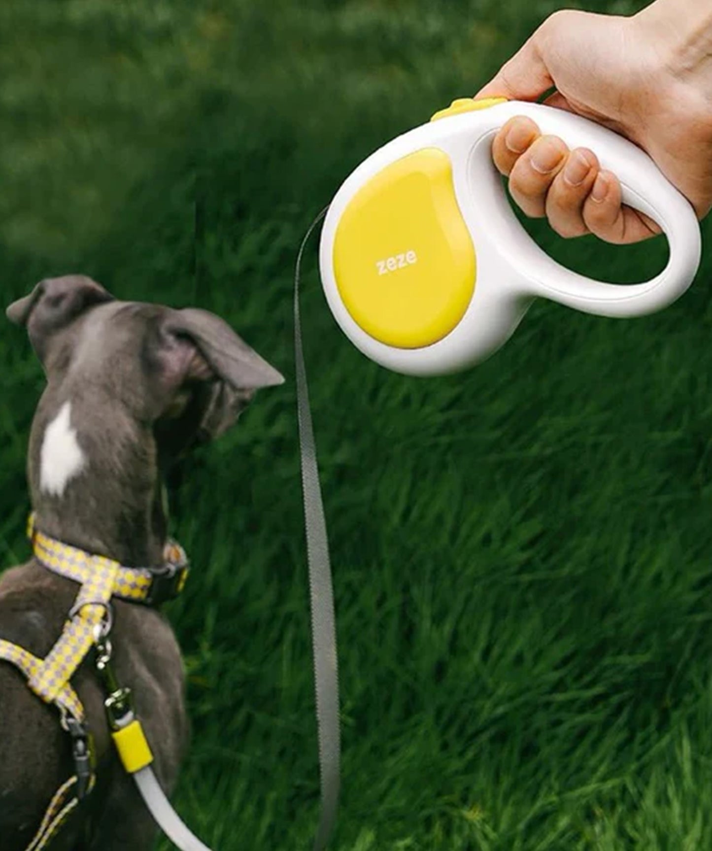 Easywalk Leash