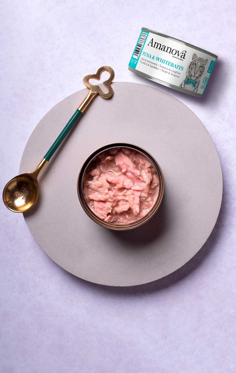 09 Atún & Anchoveta