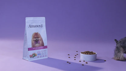 Adult mini sensitive - Salmon deluxe