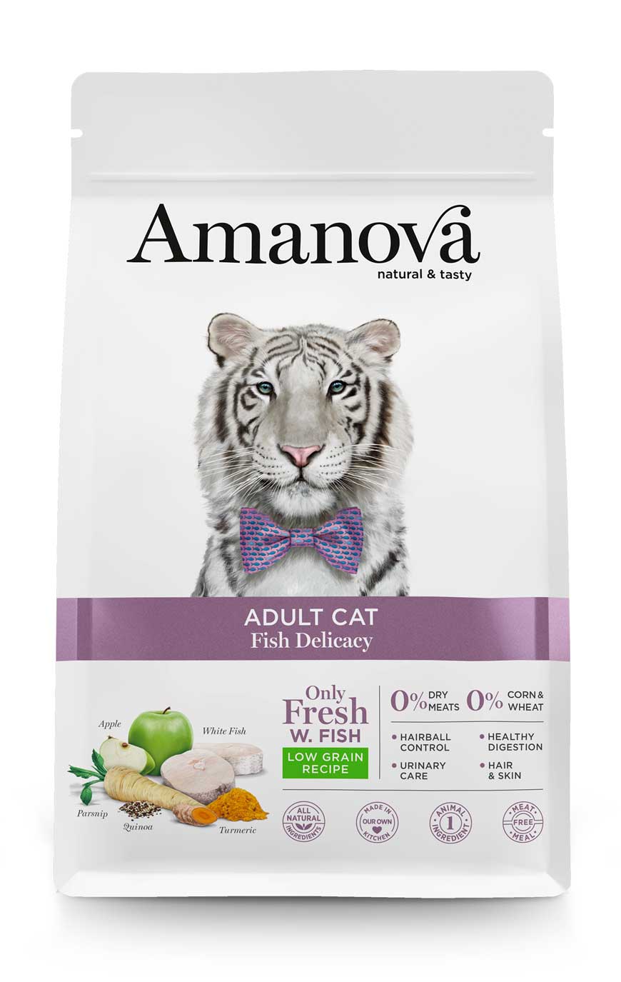 Adult Cat - Fish delicacy