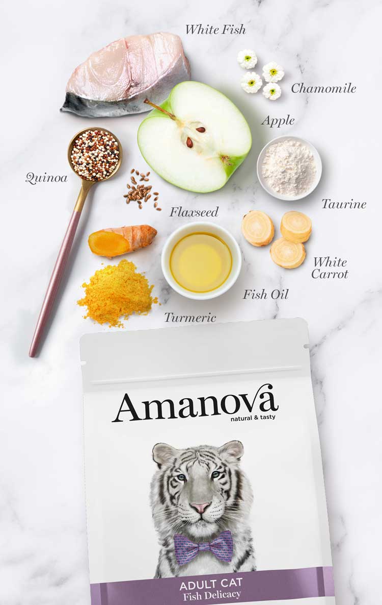 Adult Cat - Fish delicacy