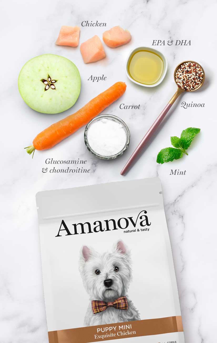 Amanova Super Premium Hundefutter – 2 Kg, Mit Frischem Huhn, Getreidearm, Hypoallergen, Für Erwachsene Hunde