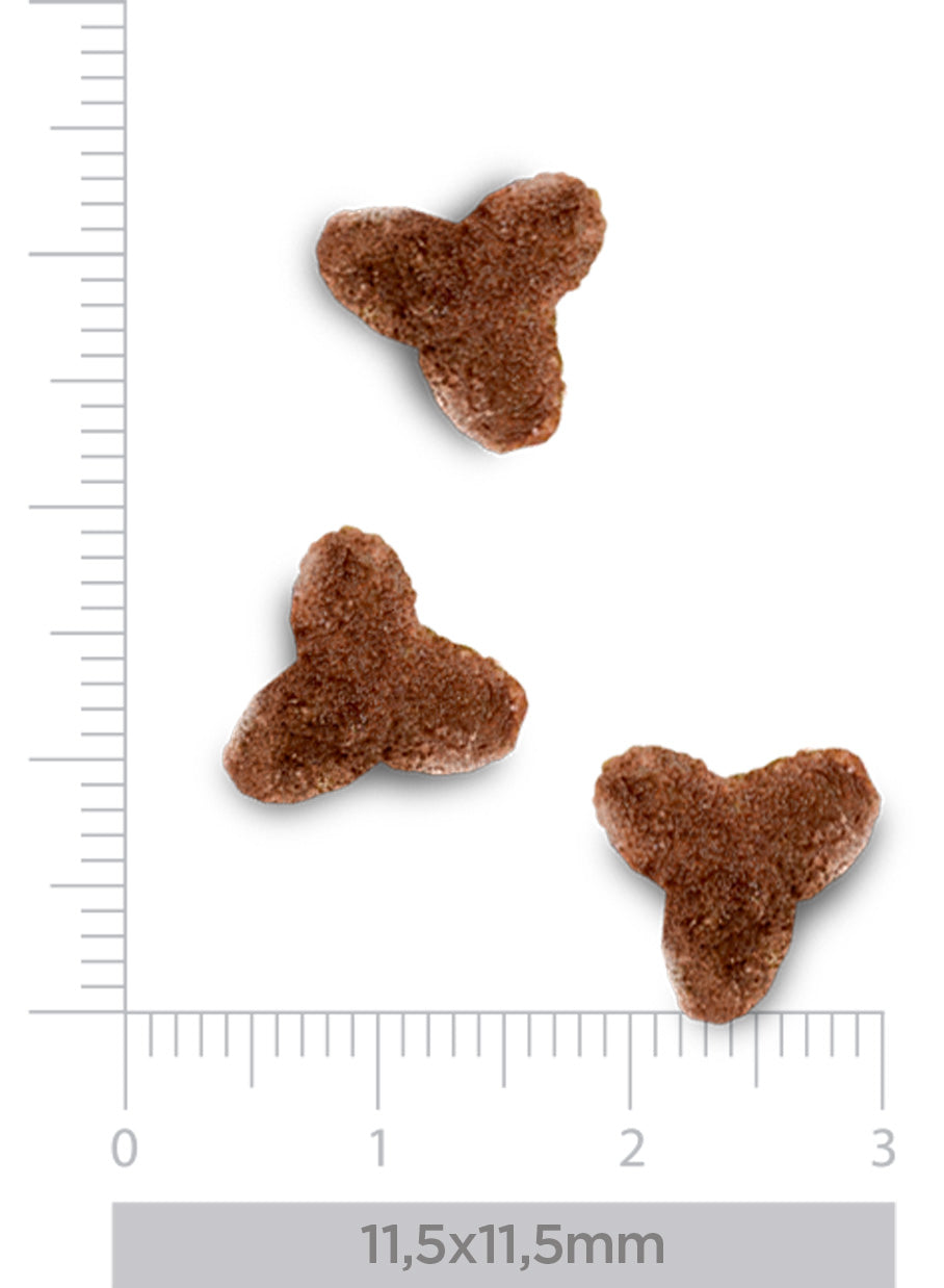 Hypoallergenic - Fresh rabbit - para gatos