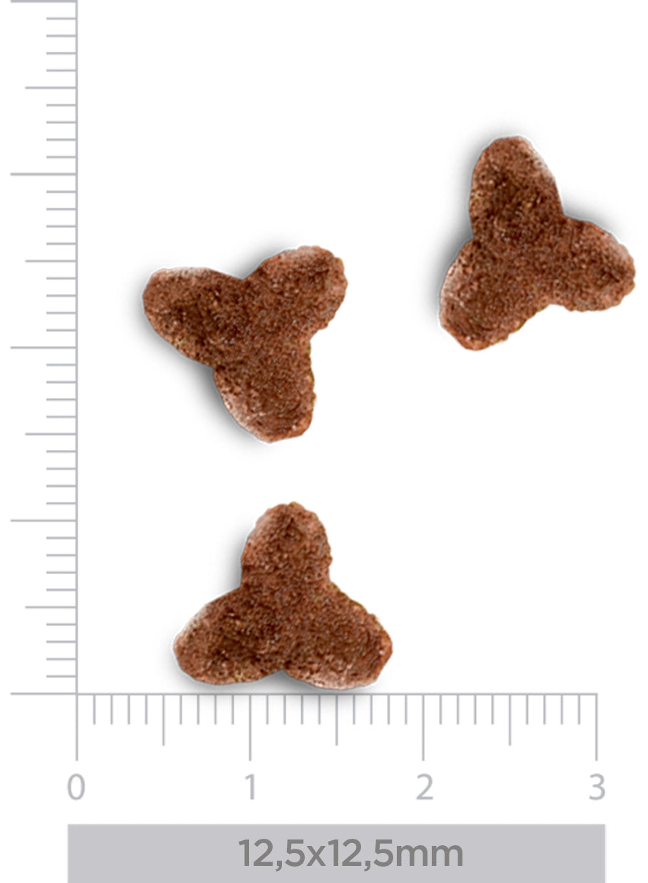 Hypoallergenic - Erwachsene Katze