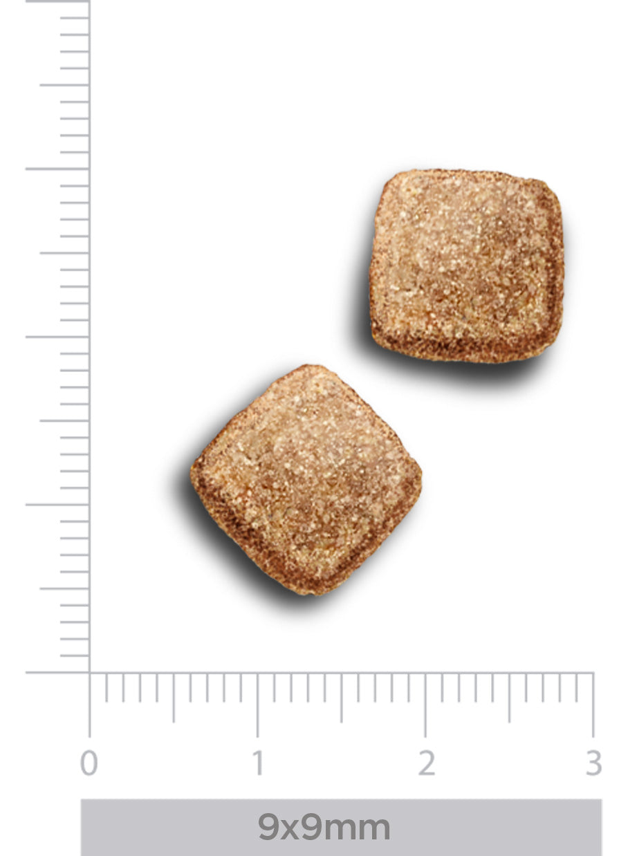Intestinal - Hydrolised fish - Voor katten