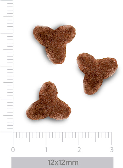 Weight & Diabetes - Erwachsene Katze