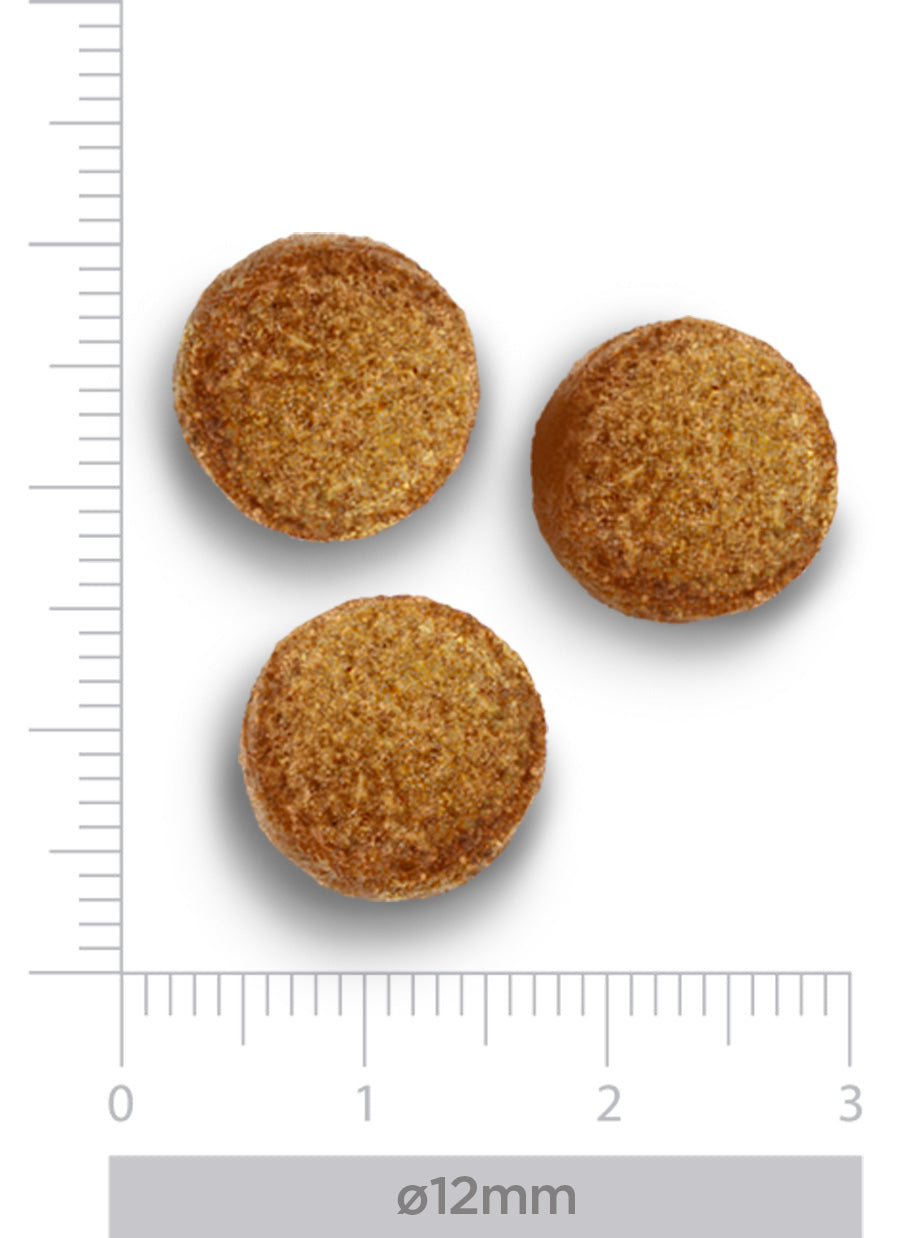 Hypoallergenic - Vegetable only - voor honden