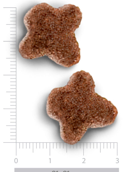 Renal & Oxalate - para perros