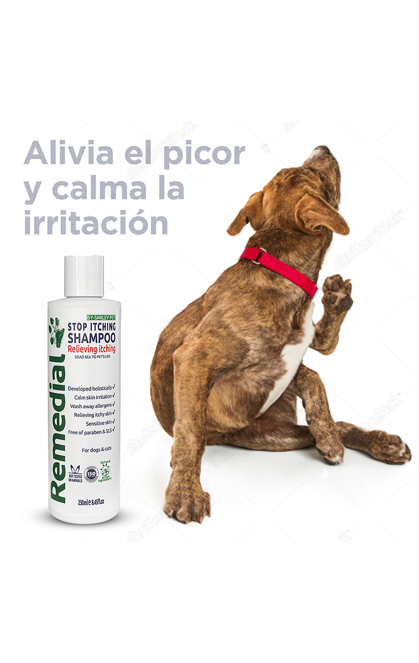 Stop Itching Shampoo