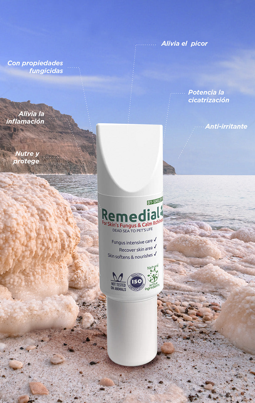 Fungus & Calm Cream