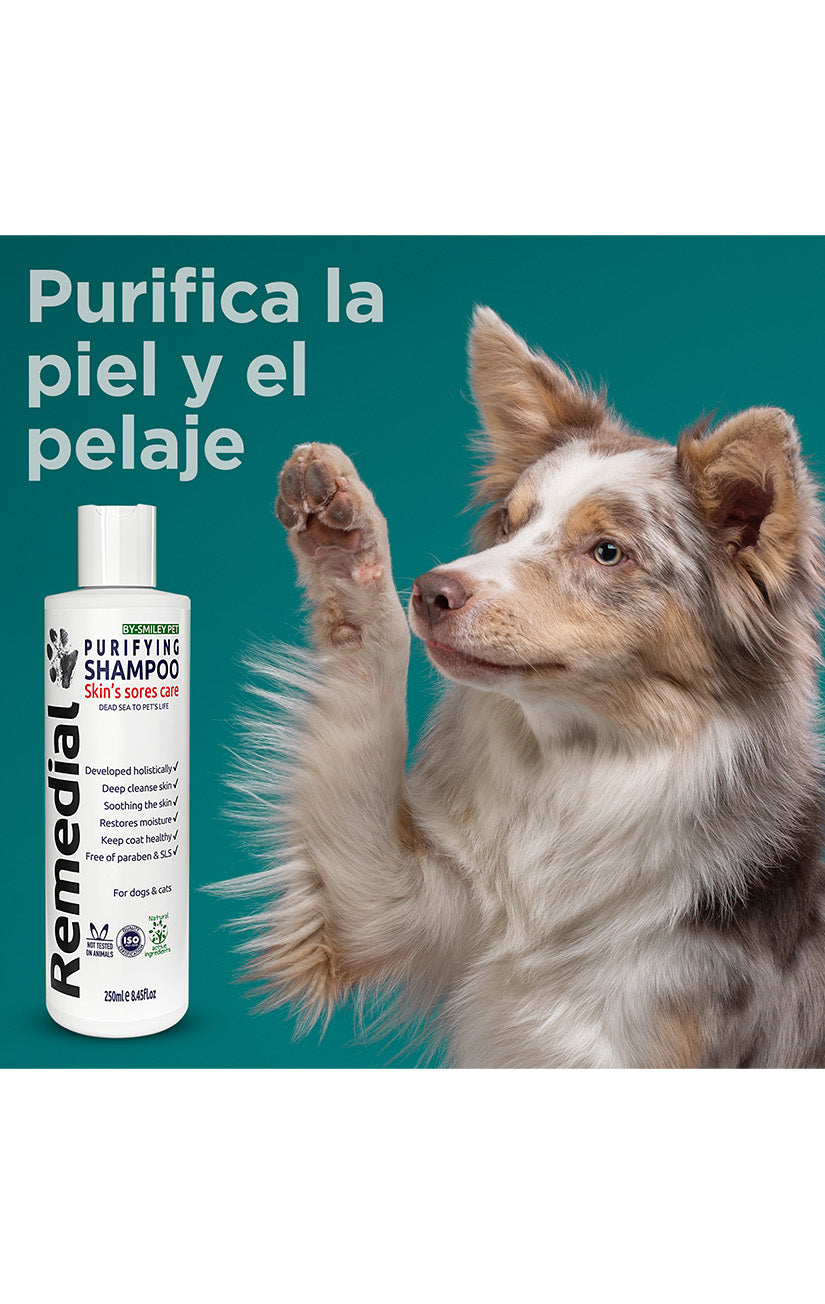 Purifying Shampoo