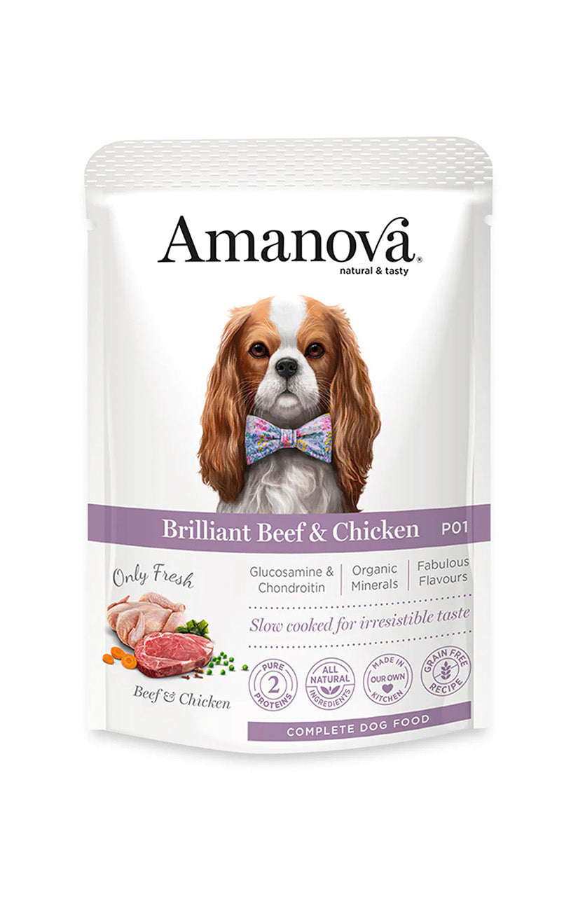 P01 Adult Dog