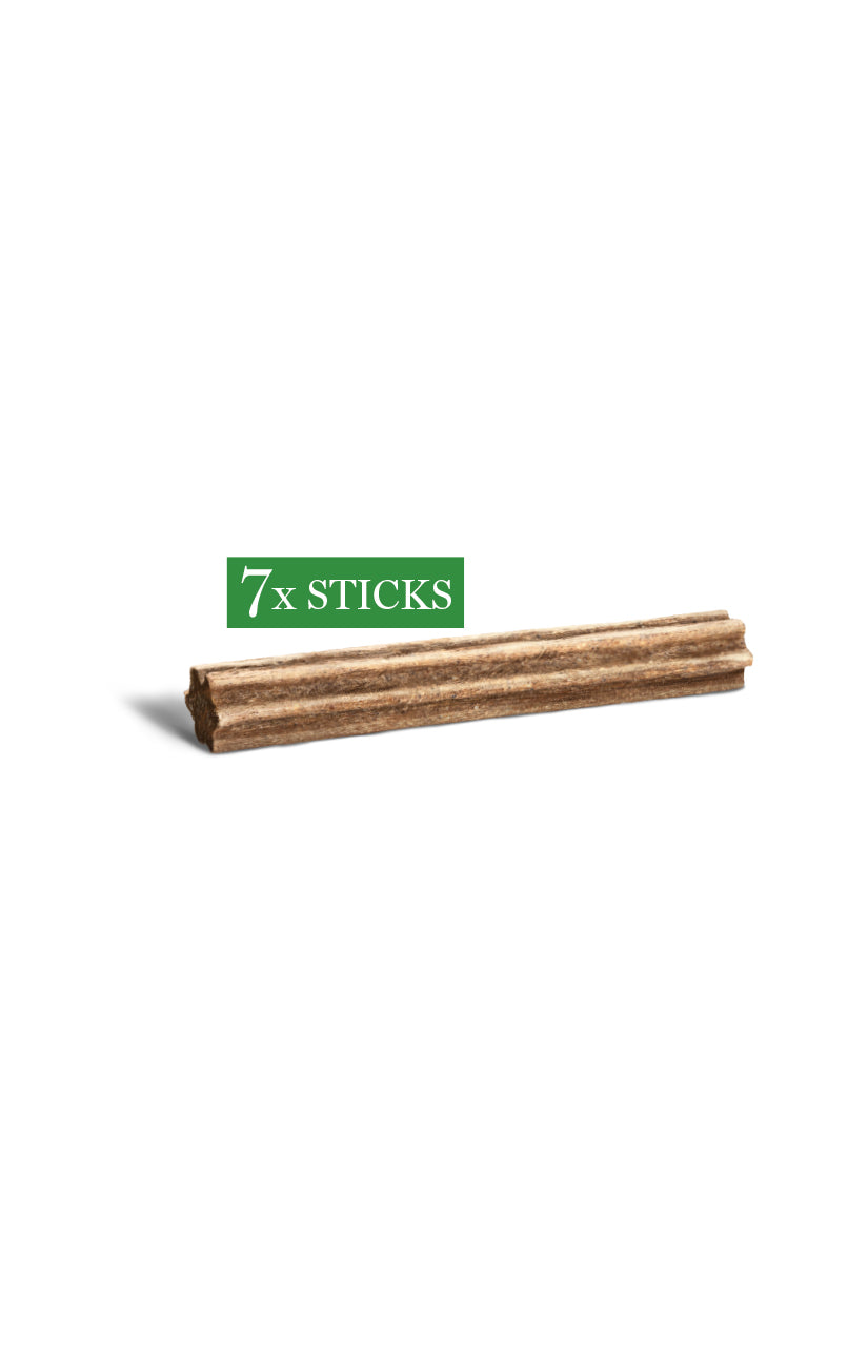 Dental Chews - M/L