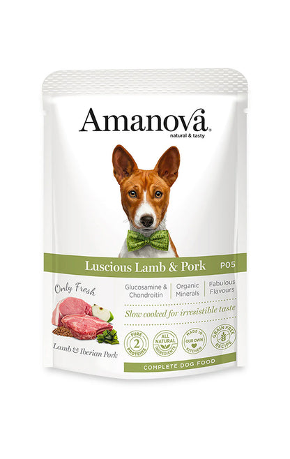 P05 Adult Dog