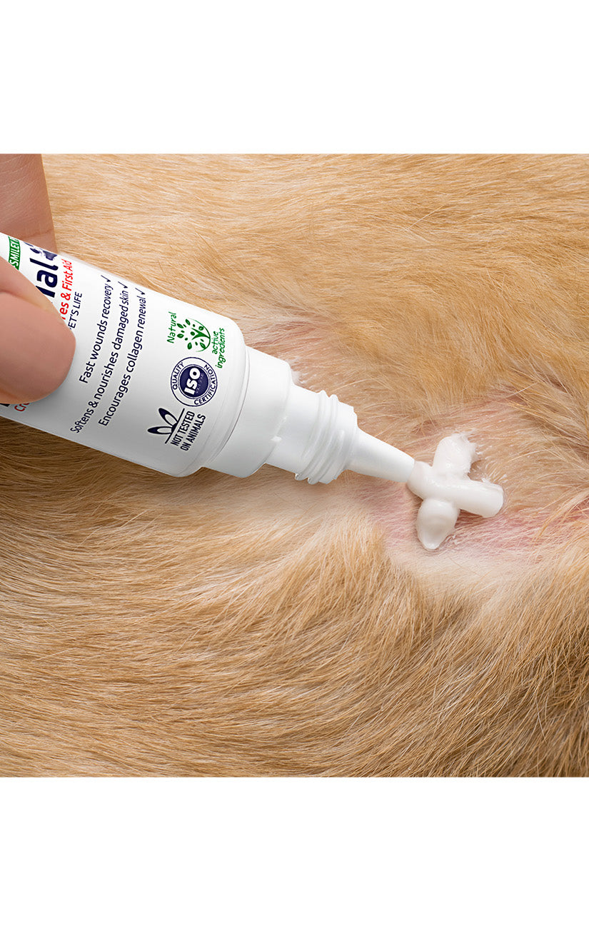 First Aid Cream