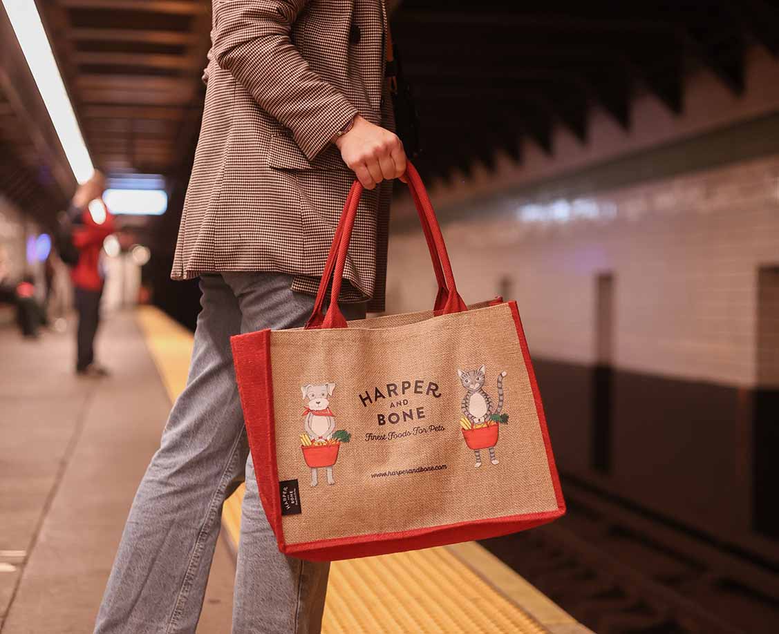 Harper & Bone shopping bag